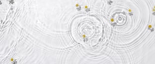 Coach_Clear_Expectations