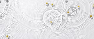 Coach_Clear_Expectations